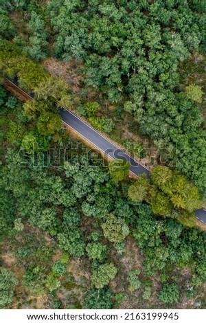 drone aerial view of a mountain road among oak trees