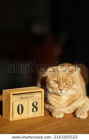 World Cat Day, 8 August on wooden calendar with ginger cat Royalty-Free Stock Photo #2163202523