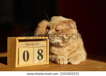 World Cat Day, 8 August on wooden calendar with ginger cat Royalty-Free Stock Photo #2163202531