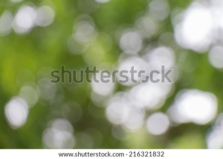 Abstract green nature background