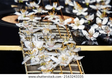 Flowers lie on the guitar. Decorated guitar strings. Flowers on strings