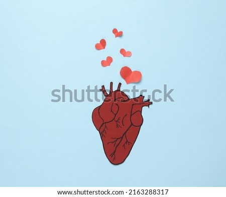 Love concept. Anatomical heart and paper cut hearts on a blue background. Valentine's Day. 14th February