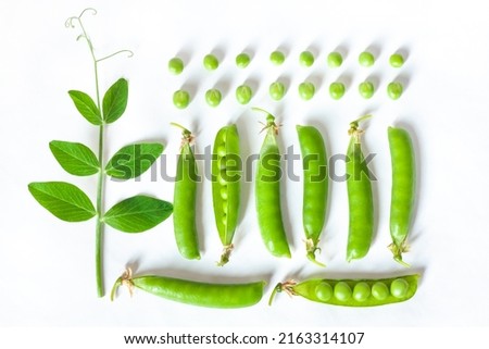 Fresh green pea pods, twig and peas on white background, knolling, flat lay. Food, diet, nutrition creative concept. Royalty-Free Stock Photo #2163314107