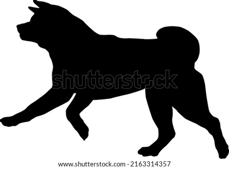 Black dog silhouette. Running and jumping american akita puppy. Pet animals. Isolated on a white background. Vector illustration.
