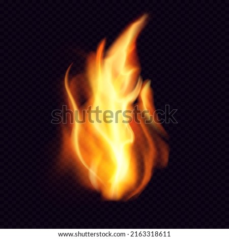 Fire PNG. Realistic Fire flame with transparent background. Burning red wildfire flame, blazing fiery spurts of flame, burn bonfire silhouette