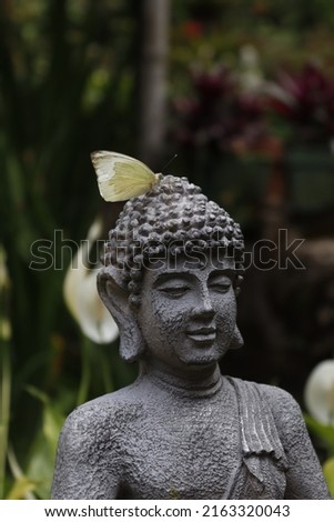 Buddha statue in a botanical garden with a butterfly posed on its head.