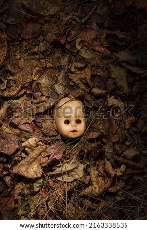 Creepy doll head without hair, face with no eyes lying in autumn forest among dry leaves. Spooky Halloween background Royalty-Free Stock Photo #2163338535