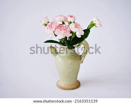 Pink white pastel Dianthus Carnation flowers in vase on table isolated on white background Clove pink ,still life for background or wallpaper for text letter mother's day ,women's day ,soft color 