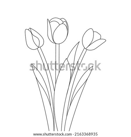 tulip line art flower coloring page design for printing template continuous black stroke