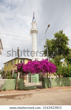 bougainvillea blooming near small mosque in Turkish village