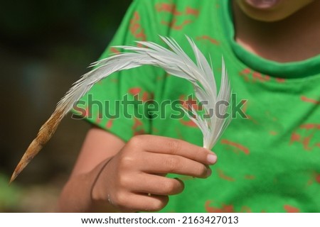 Beautiful rooster feathers in children's hands. Selective focus.