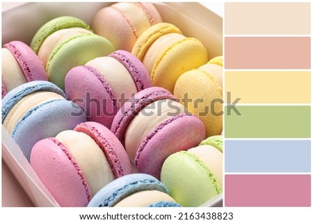 Color palette and many delicious macarons in box, closeup. Collage