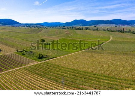 Aerial view from nature reserve
the little Kalmit. Is located in the east of the Palatinate Forest near the wine and holiday resort of Ilbesheim. 
German Wine Road, Vineyard Palatinate region.