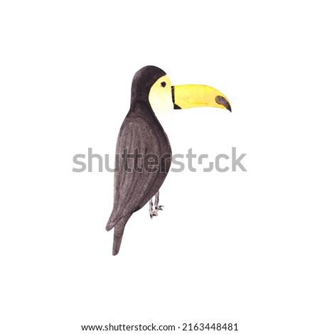 Watercolor toucan isolated on a white background. Hand-drawn tropical bird with a yellow beak. Zoo clipart. Adorable animal in a cartoon style. Tropic illustration.