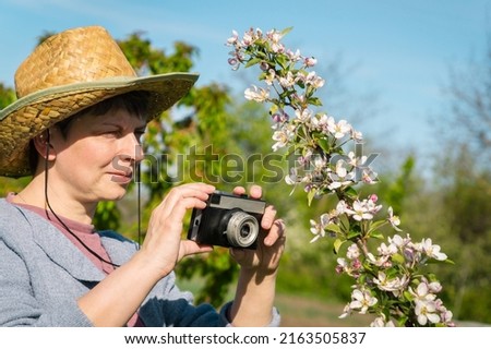 Pretty middle aged woman in a hat holding a vintage camera and photographing a branch of a blossoming apple tree.