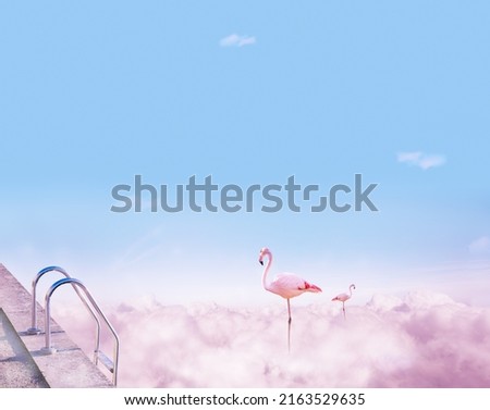 Two pink flamingos stand in the pool of light clouds - dreamy concept mixed-media composition collage image