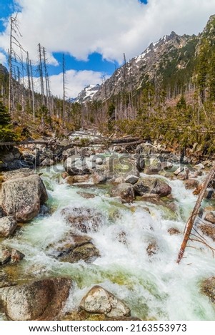 Stream in High Tatras mountains, Carpathia, Slovakia