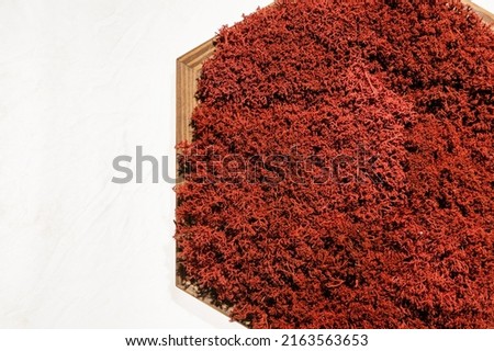 red moss in a wooden frame on a white background