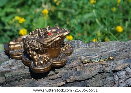 Metal toad feng shui close-up. A symbol of financial well-being.