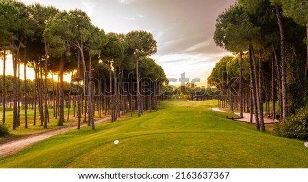 Tee box area at golf course at sunset with beautiful sky. Scenic panoramic view of golf fairway. Golf field with pines
