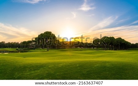 Panorama of golf course at sunset with beautiful sky. Scenic panoramic view of golf fairway. Golf field with pines Royalty-Free Stock Photo #2163637407