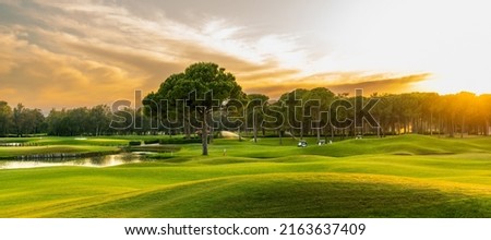 Golf course at sunset with beautiful sky. Scenic panoramic view of golf fairway. Golf field with pines