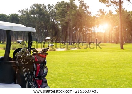 Set of golf clubs in golf bags in the back of a golf cart on a beautiful golf course