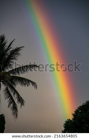 Beautiful rainbow background after the rain in the afternoon