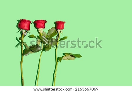 Three red roses on a green background. Minimal flat lay concept. Love and Valentine's Day inspiration.