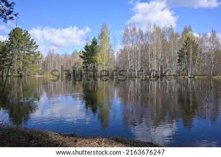 Protected forest river in early May. Spring in a national park in central Russia.