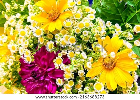 Bouquet of flowers. Flowers from the garden. Beautiful delicate flowers