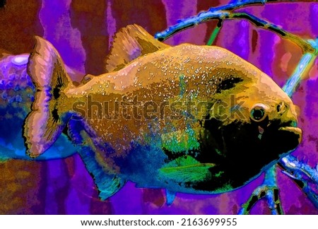 Piranha fish color aquatic animal background sign illustration pop-art background icon with color spots