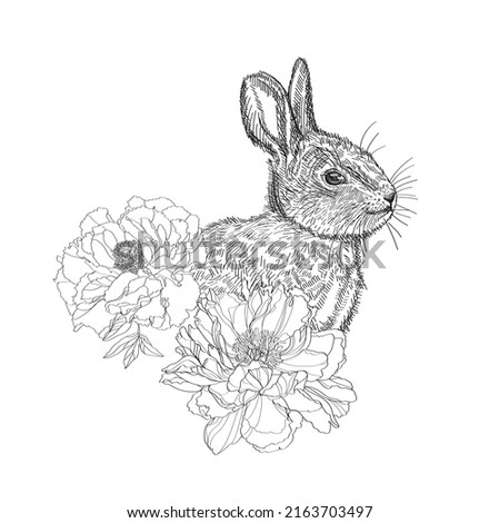 Rabbit black and white illustration in engraving style