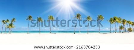 Panoramic scene with beautiful tall coconut palms and sun rays at Juanillo beach, Dominican Republic. Caribbean nature background, long banner Royalty-Free Stock Photo #2163704233