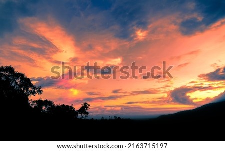 Colorful evening sky with clouds and tree silhouette