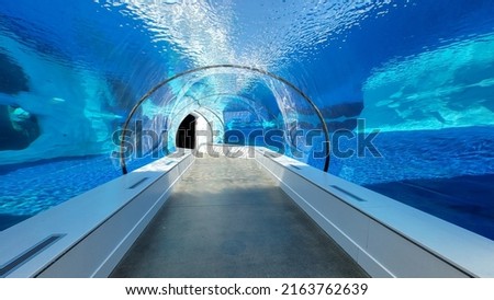 Underwater tunnel at an aquarium.