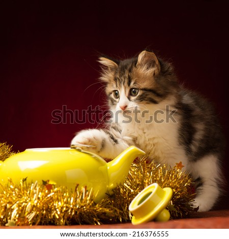 Young cat playing with christmas ornaments