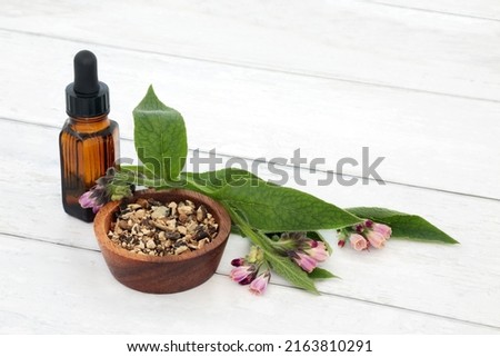 Comfrey herb leaf and root used in herbal plant medicine for skin problems, burns, swelling, sprains and  bruises. Used as an anti inflammatory for arthritis, gout, internally to heal diarrhoea.  Royalty-Free Stock Photo #2163810291
