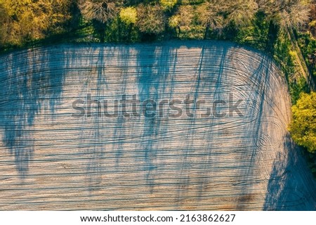 Rural spring field and Trees on border landscape. Sunny sunshine Day. Long Woods Shadows . Aerial View Amazing country Landscape Scenic View Of Park Woods. Nature Elevated Flat View. Rural spring Royalty-Free Stock Photo #2163862627