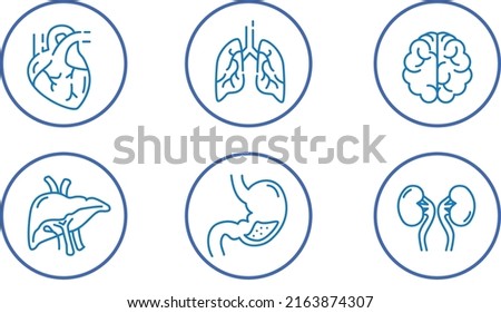 Internal Human Organs Icon set, Medical and Healthcare line vector design. Modern graphic design concepts, Heart, Lungs, Brain, Kidneys, Stomach Vector line icons. Isolated on white background