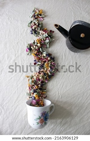art of herb on white background