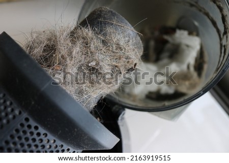 Vacuum cleaner and garbage container. Full Vacuum cleaner with dust and dirt on the floor. Indoor cleaning. Household chores or cleaning company. Selective focus. close up. Royalty-Free Stock Photo #2163919515