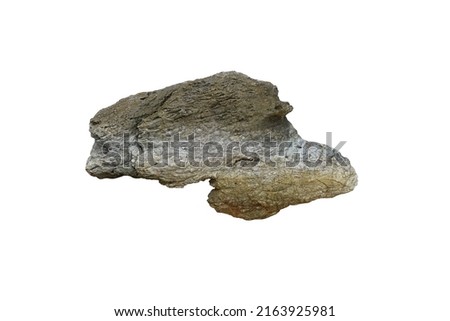 Strange sandstone coastal rock for outdoor garden decoration. Reef stone is isolated on white background. 