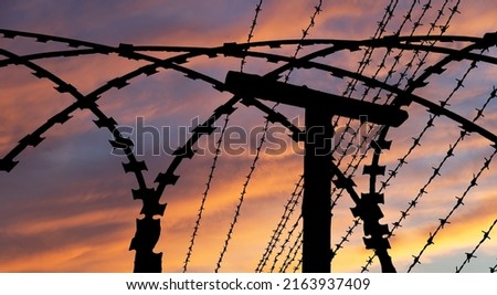 Сontour of barbed wire on the background of the sunset orange sky