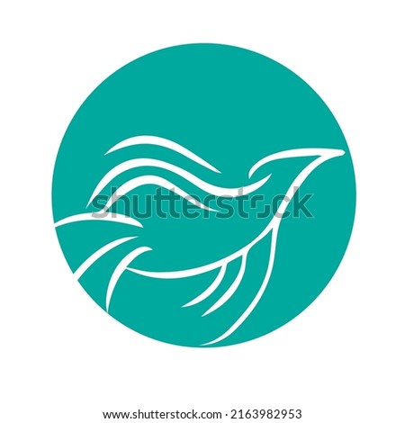 bird logo design and image