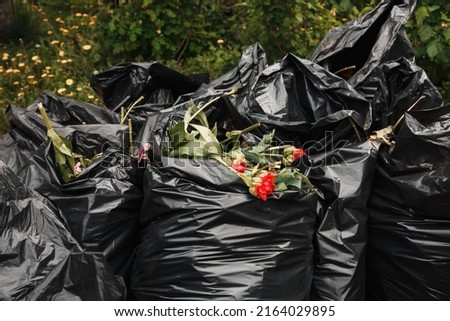 Black garbage bags with wilted flowers. After the holiday on March 8. Preparation of the city flowerbed for planting new seasonal flowers.