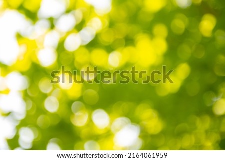 Abstract blurry, low depth of field bokeh light shapes. Vivid, green, white and yellow colored background picture with different shapes and dots in. Perfect for spring and summer related topics.