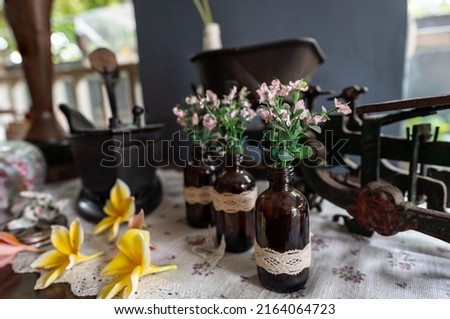 Three small bottles filled with ornamental plants are on the table for interior design ideas. Selective focus