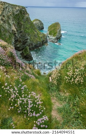 Coastal views in Newquay, Cornwall Royalty-Free Stock Photo #2164094551