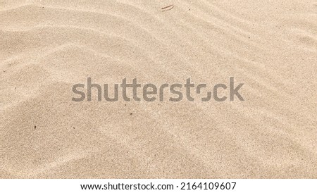 Backgrounds Materials Wind ripples on sandy beach